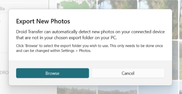 Select a folder to export photos to