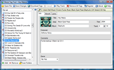 Music Tag Tool Screen Shot