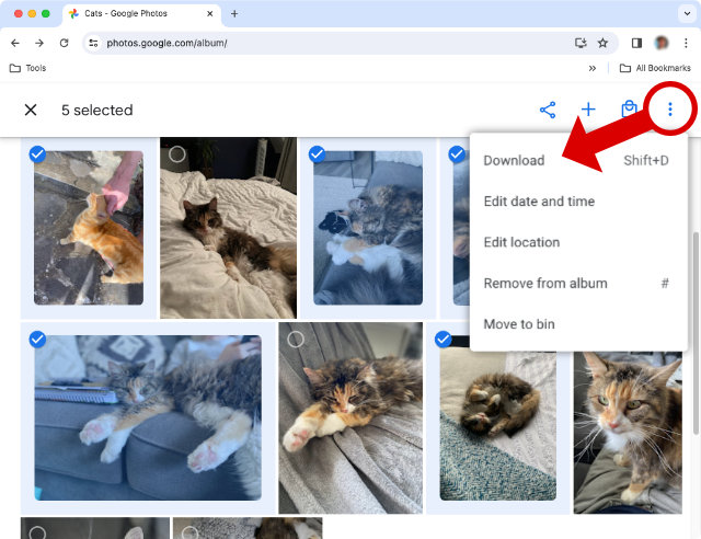 Download pictures from Google Photos