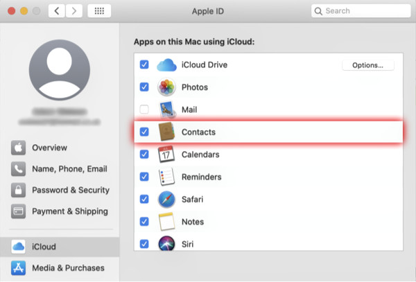 Enable iCloud Contacts on Mac