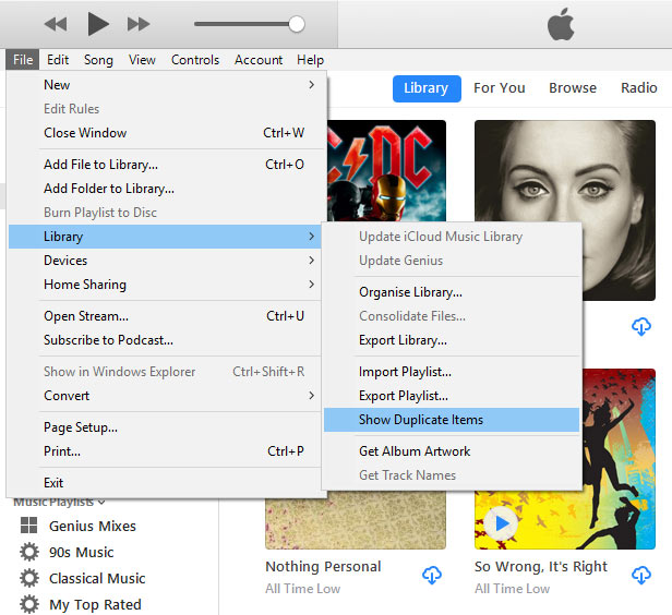 iTunes duplicate music finder