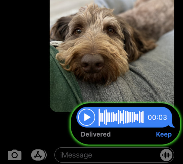 Keep an audio message on iPhone