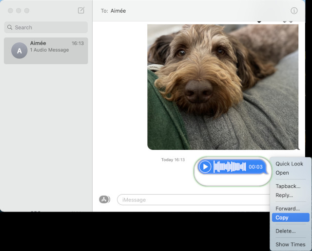 Save audio messages to Mac
