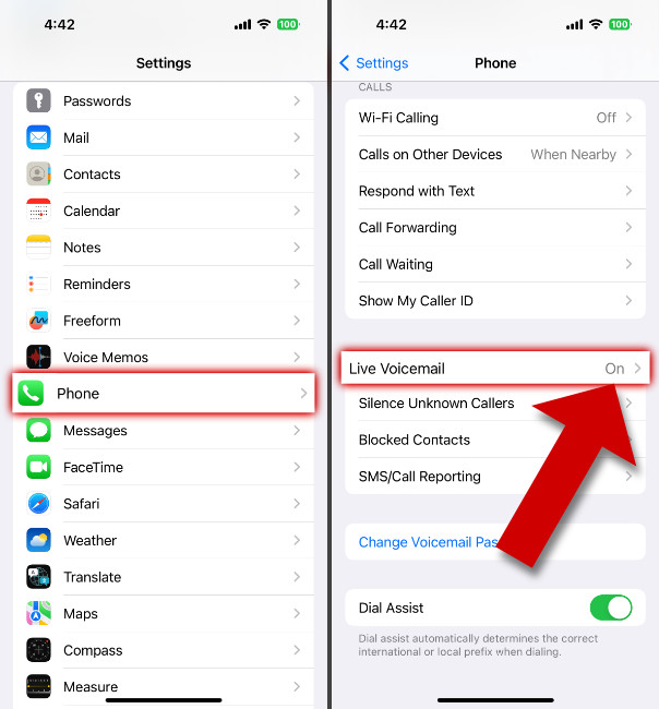 Turning on Live Voicemail on iPhone