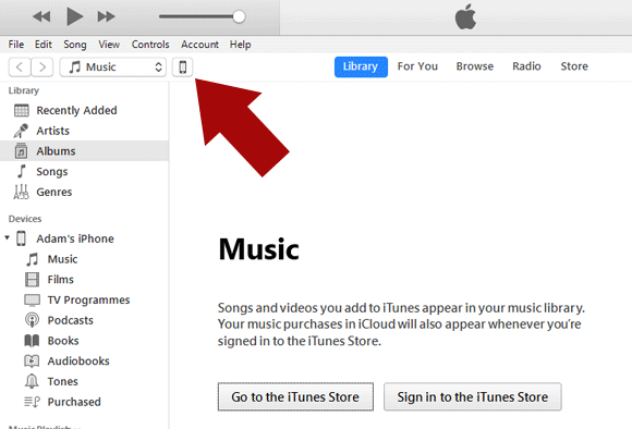 iTunes device icon