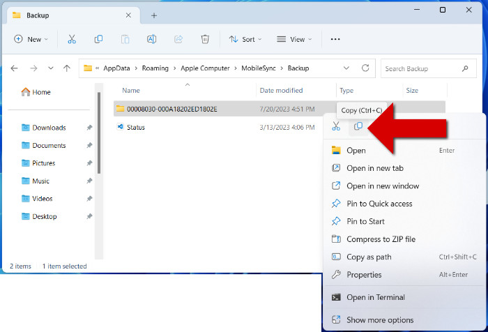 Copy iPhone backup from File Explorer to external hard drive on Windows PC