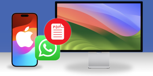 How to Export Text Messages from iPhone to PDF | TouchCopy