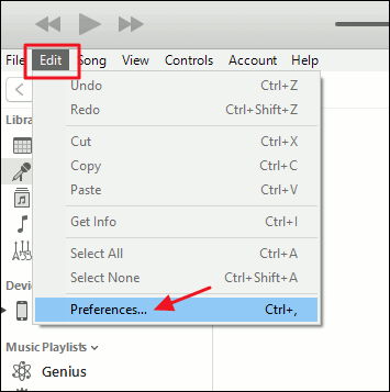 Using the Preferences option in iTunes