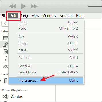 Select the "Preferences" option in iTunes