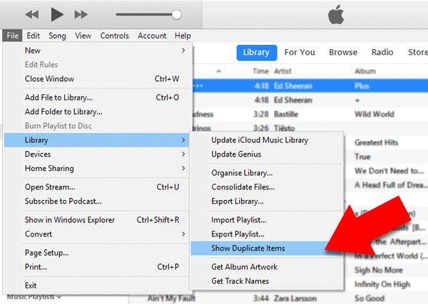 Show duplicates in iTunes