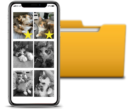 Save new photos from iPhone to computer